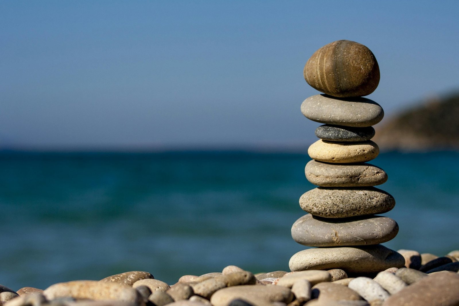 Alimentos equilibrado